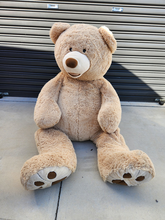 Large Teddy Bear