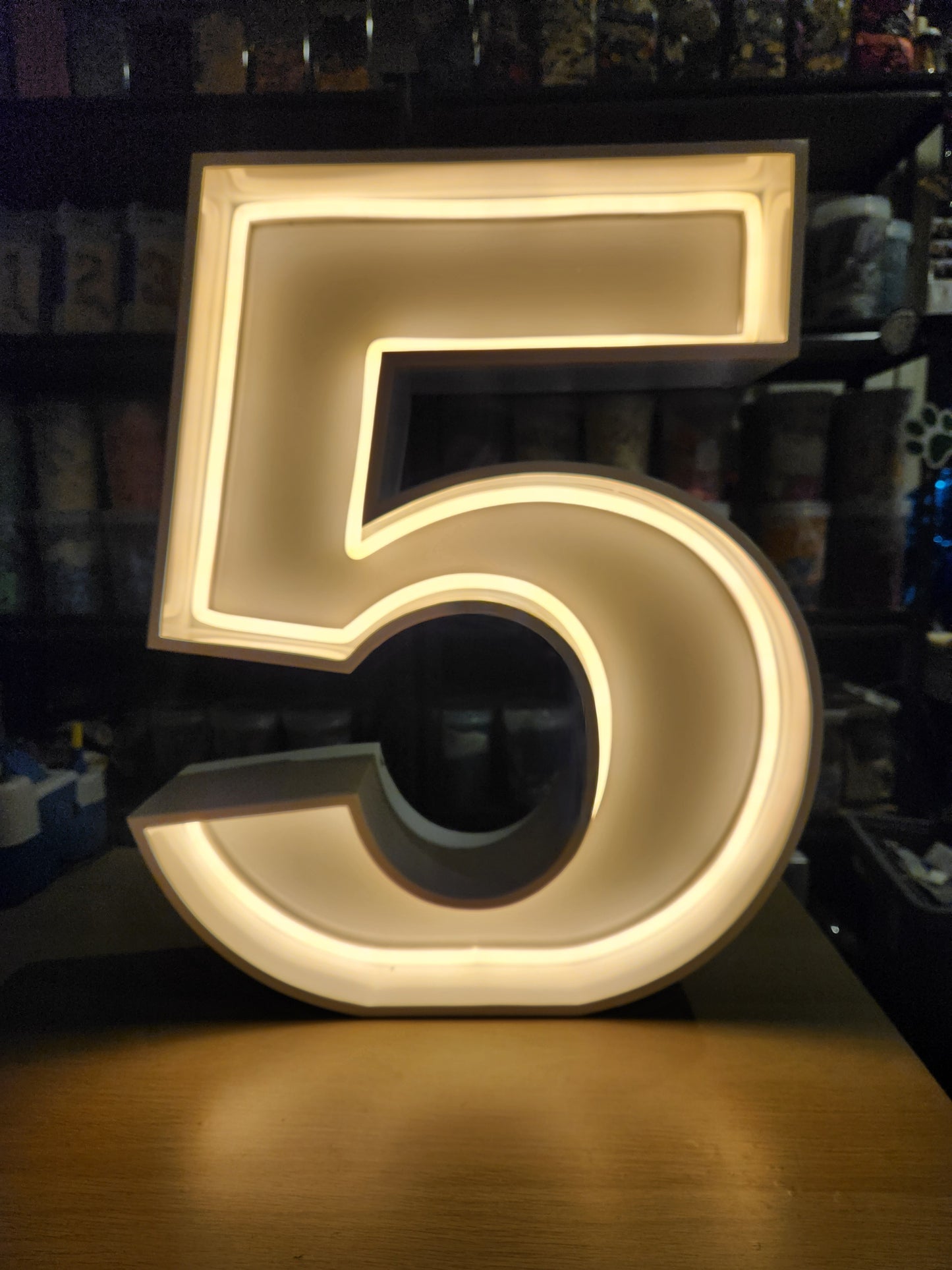 LED Light Up Numbers
