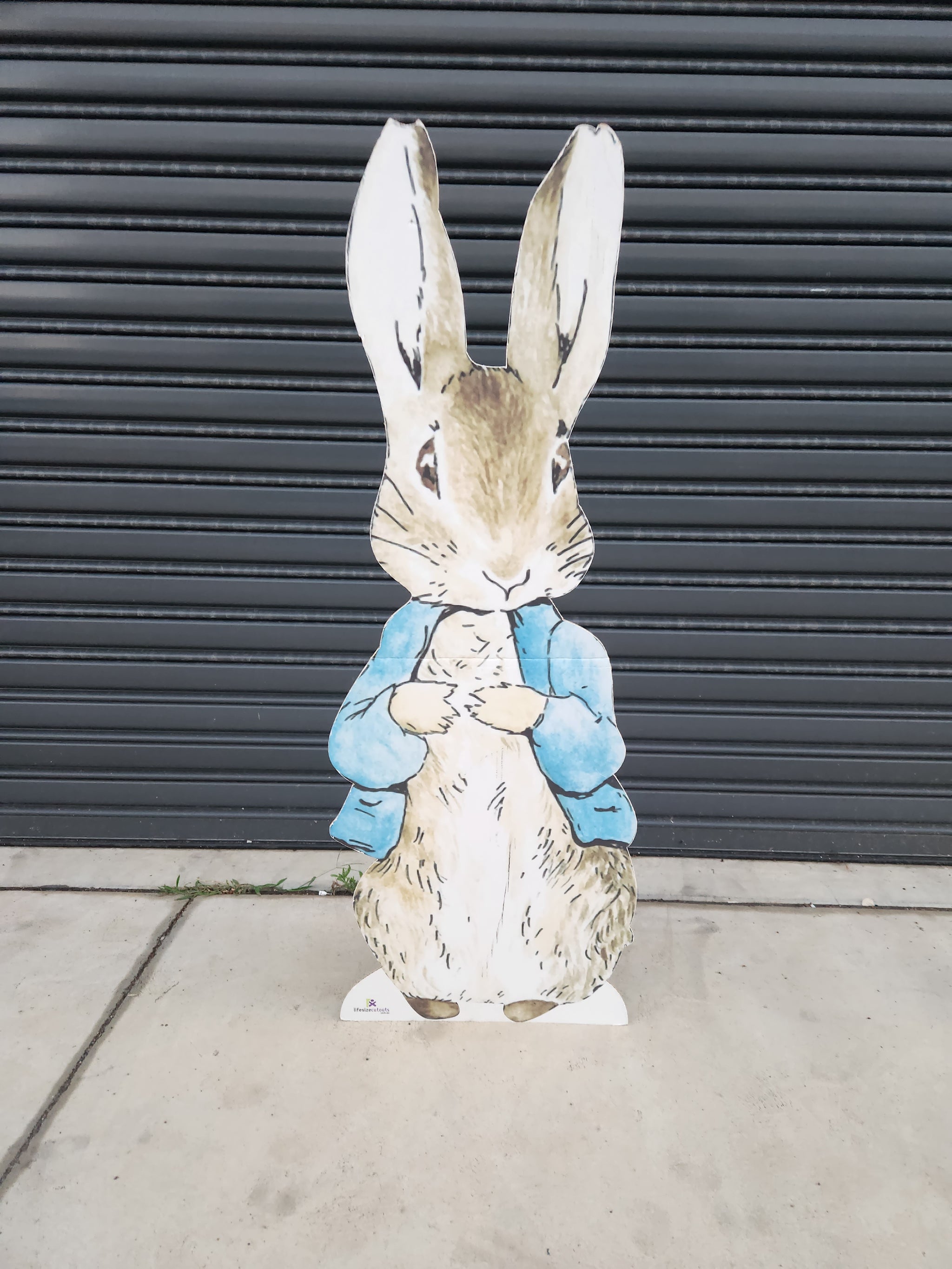 Peter Rabbit Cutouts – Savy Balloons